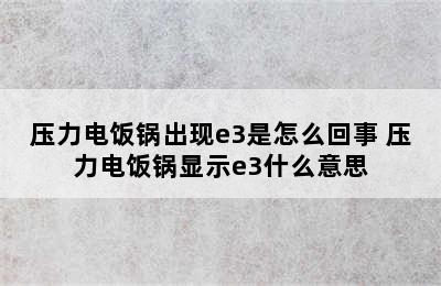 压力电饭锅出现e3是怎么回事 压力电饭锅显示e3什么意思